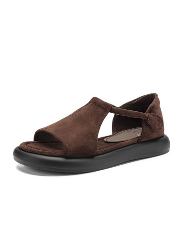 Brown|브라운